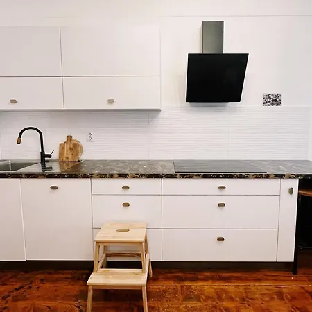Cozy Flat In Center Apartment Maribor